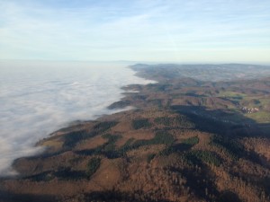 IMG_9911